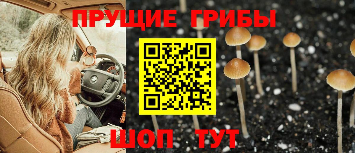 Галлюциногенные грибы Cubensis  Вход с VPN  продажа наркотиков  Азнакаево 