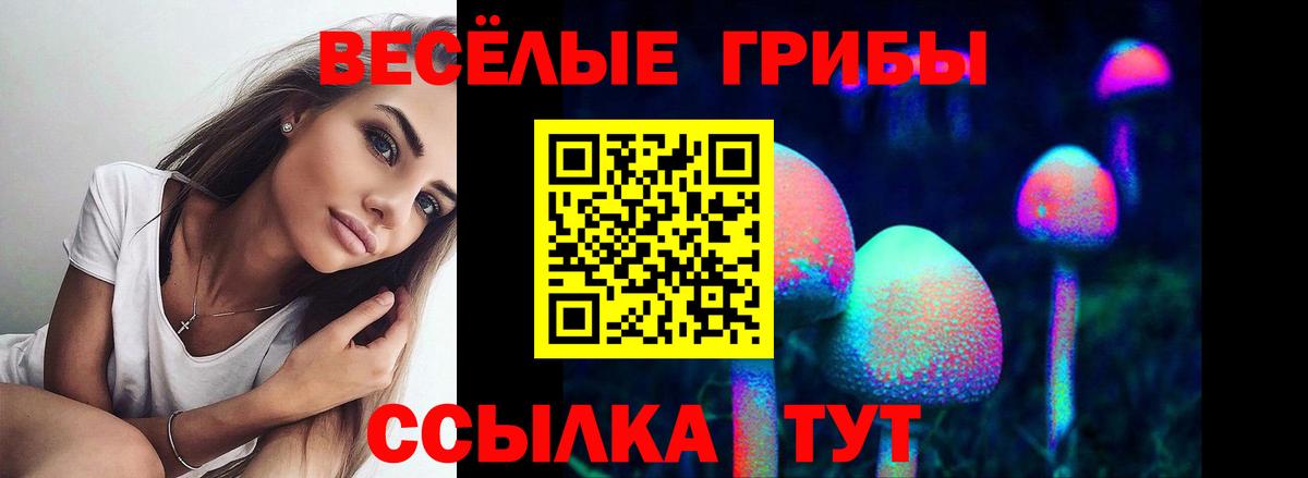 Галлюциногенные грибы мухоморы Азнакаево
